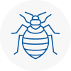 Bed Bug Extermination In Hornchurch