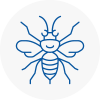 Hornchurch Hornet Nest Removals