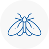 Moth Control Specialists In Hornchurch