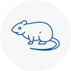 Rat Control Hornchurch