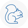 Hornchurch Rodent Removals