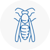 Hornchurch Wasp Nest Removal